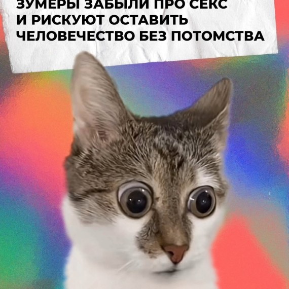 Зумеры забыли про секс и рискуют оставить человечество без потомства