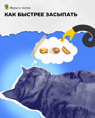 Как быстрее засыпать?