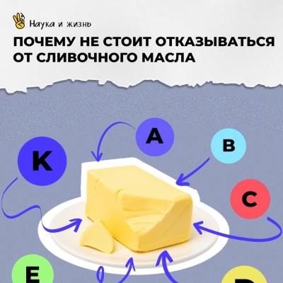 Почему не стоит отказываться от сливочного масла