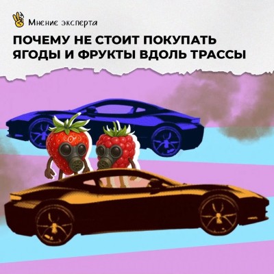 Почему не стоит покупать ягоды и фрукты вдоль трассы?