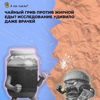 Чайный гриб против жирной еды? Исследование удивило врачей