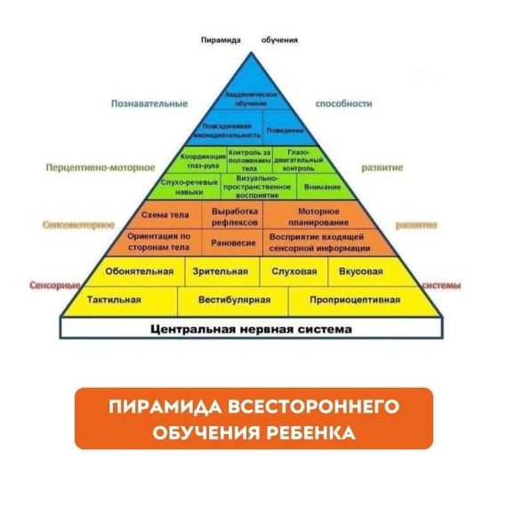 Пирамида развития ребёнка: что находится в основе навыков