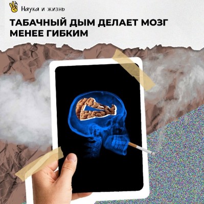Табачный дым делает мозг менее гибким