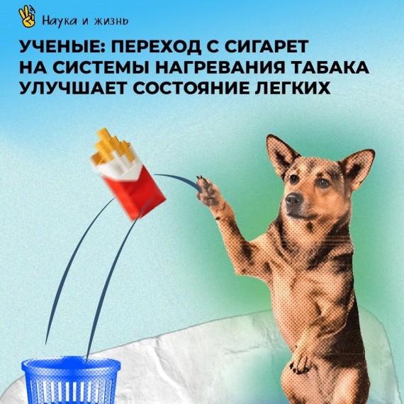 Новые данные: системы нагревания табака помогают лёгким очищаться лучше