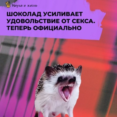 Шоколад усиливает удовольствие от секса