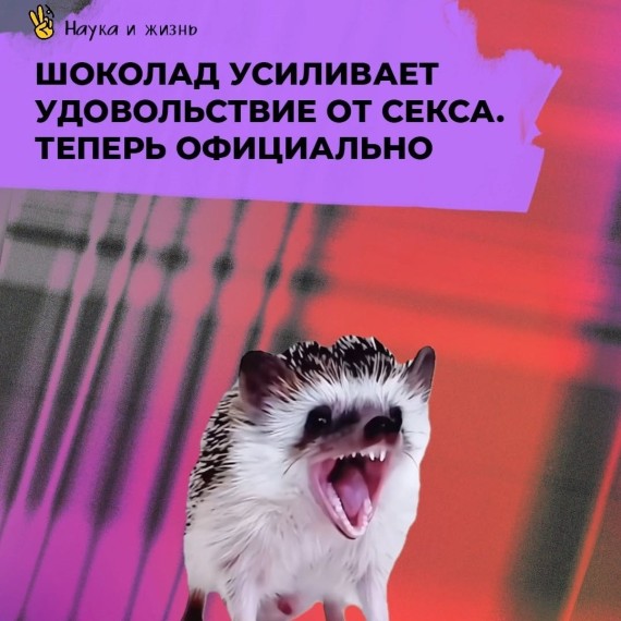 Шоколад усиливает удовольствие от секса