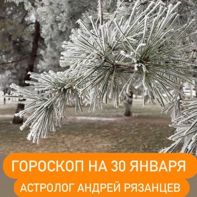 Гороскоп для всех знаков зодиака 30.01.2024