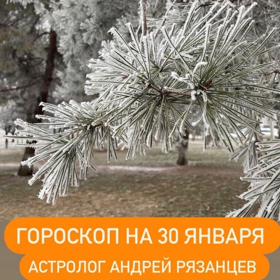 Гороскоп для всех знаков зодиака 30.01.2024