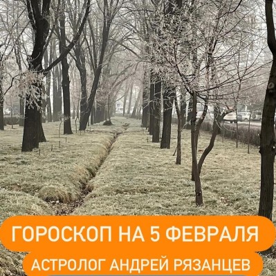 Гороскоп для всех знаков зодиака 5.02.2024