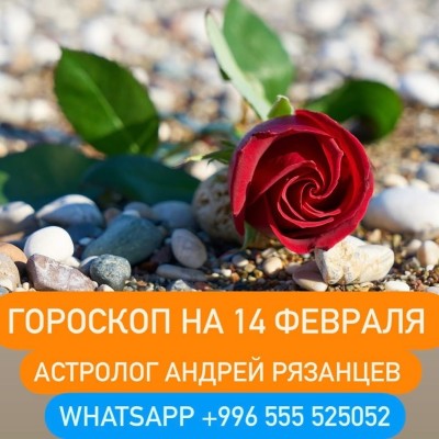 Гороскоп для всех знаков зодиака 14.02.2024