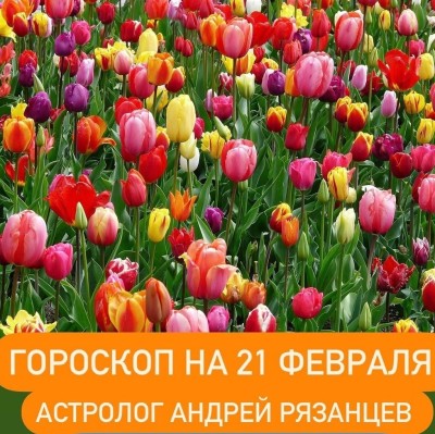 Гороскоп для всех знаков зодиака 21.02.2024