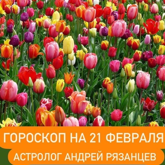 Гороскоп для всех знаков зодиака 21.02.2024