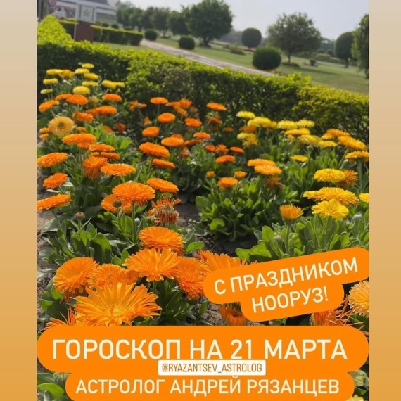 Гороскоп для всех знаков зодиака 21.03.2024