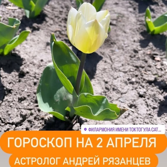Гороскоп для всех знаков зодиака 2.04.2024