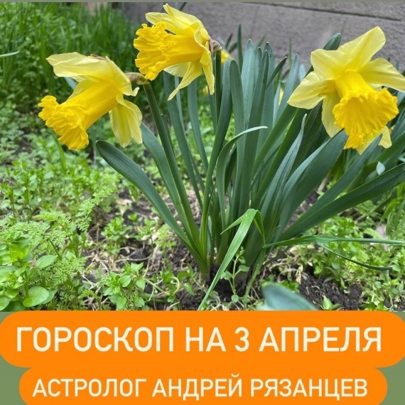 Гороскоп для всех знаков зодиака 3.04.2024