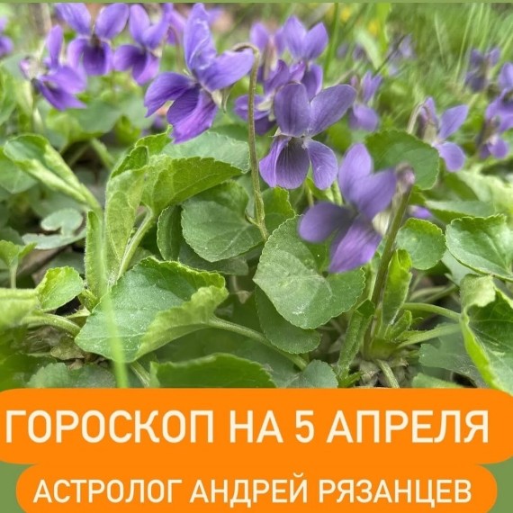 Гороскоп для всех знаков зодиака 5.04.2024