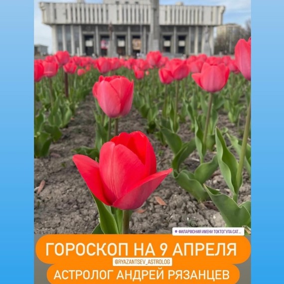Гороскоп для всех знаков зодиака 9.04.2024