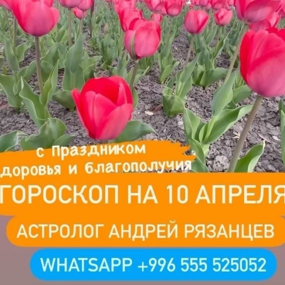 Гороскоп для всех знаков зодиака 10.04.2024