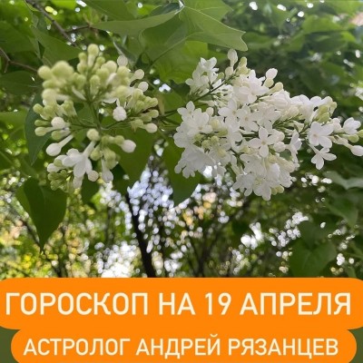 Гороскоп для всех знаков зодиака 19.04.2024