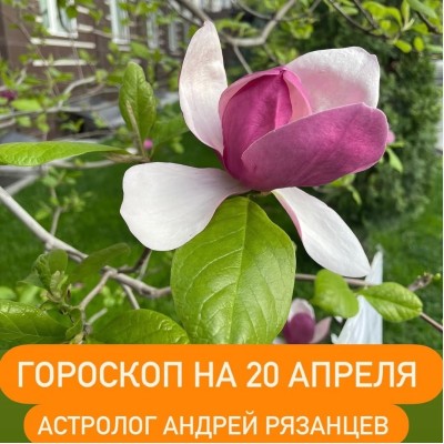 Гороскоп для всех знаков зодиака 20.04.2024