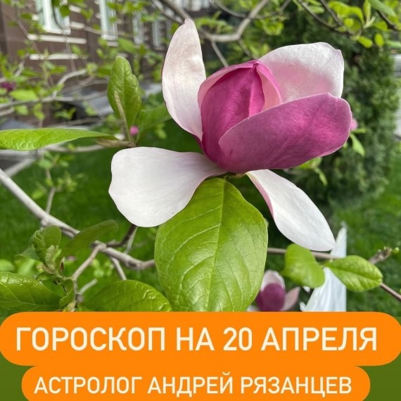 Гороскоп для всех знаков зодиака 20.04.2024
