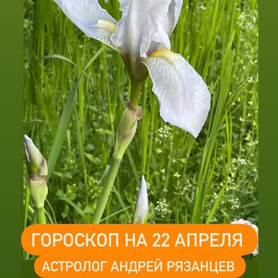 Гороскоп для всех знаков зодиака 22.04.2024