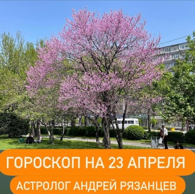 Гороскоп для всех знаков зодиака 23.04.2024