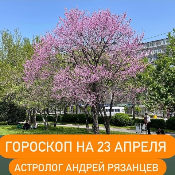 Гороскоп для всех знаков зодиака 23.04.2024