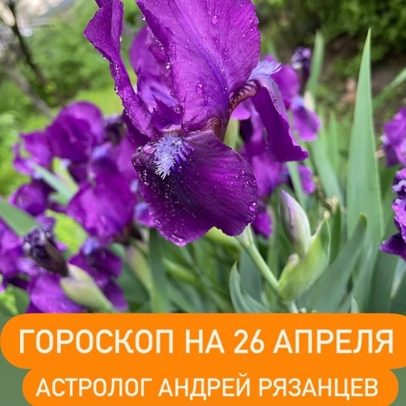 Гороскоп для всех знаков зодиака 26.04.2024