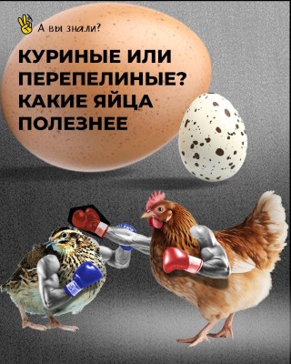 Куринные или перепелинные яйца полезнее?