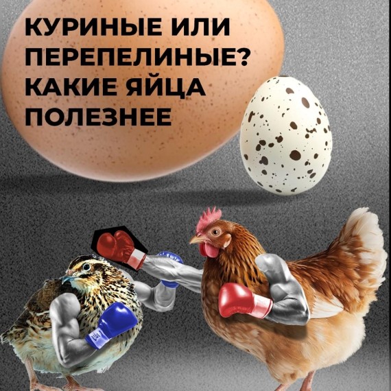 Куринные или перепелинные яйца полезнее?