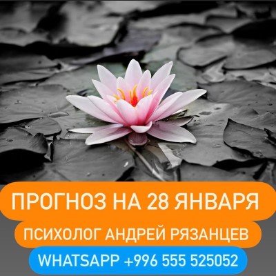 Гороскоп для всех знаков зодиака 28.01.2025