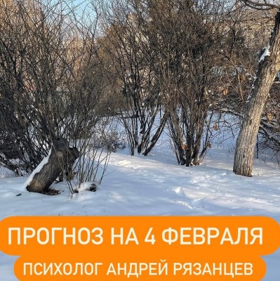 Гороскоп для всех знаков зодиака 04.02.2025