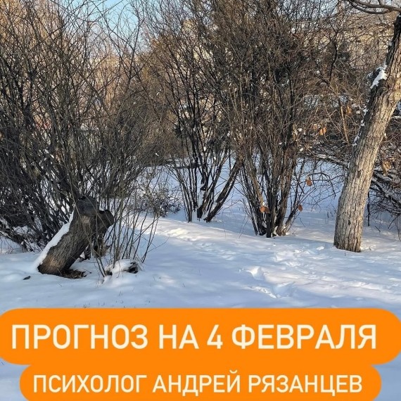 Гороскоп для всех знаков зодиака 04.02.2025