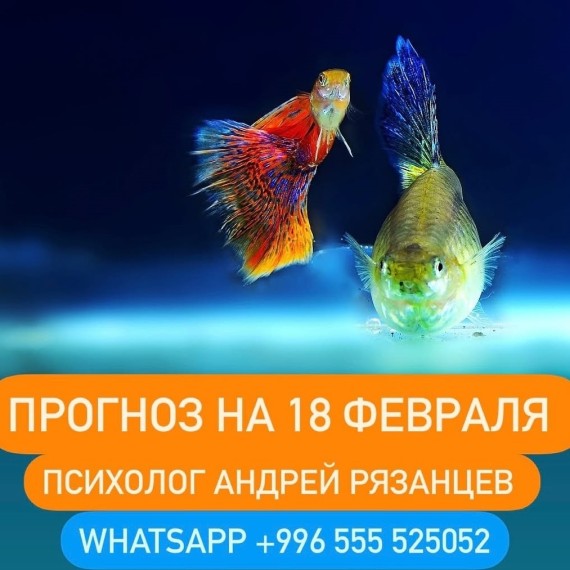 Гороскоп для всех знаков зодиака 18.02.2025