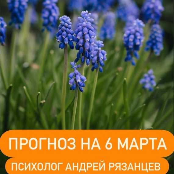 Гороскоп для всех знаков зодиака 06.03.2025