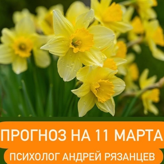 Гороскоп для всех знаков зодиака 11.03.2025
