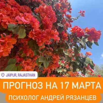 Гороскоп для всех знаков зодиака 17.03.2025