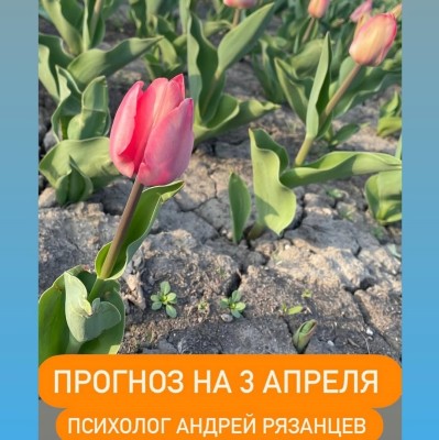 Гороскоп для всех знаков зодиака 03.04.2025