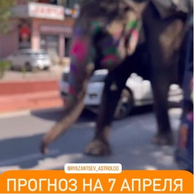 Гороскоп для всех знаков зодиака 07.04.2025