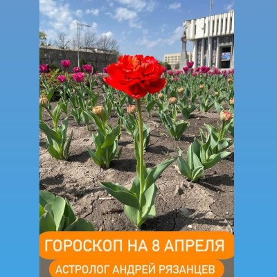 Гороскоп для всех знаков зодиака 08.04.2025