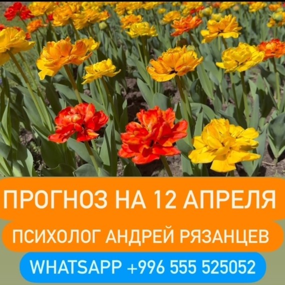 Гороскоп для всех знаков зодиака 12.04.2025