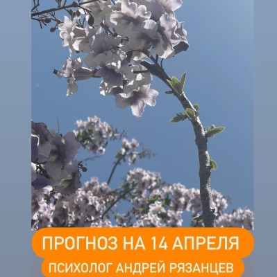 Гороскоп для всех знаков зодиака 14.04.2025
