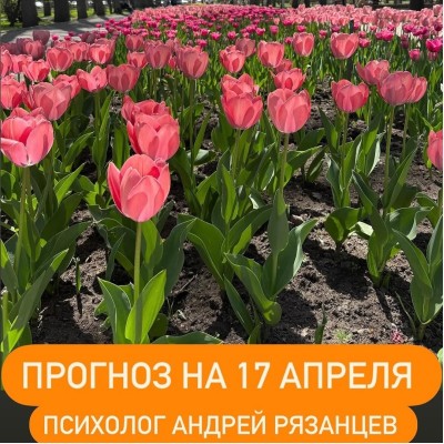 Гороскоп для всех знаков зодиака 17.04.2025