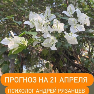 Гороскоп для всех знаков зодиака 21.04.2025
