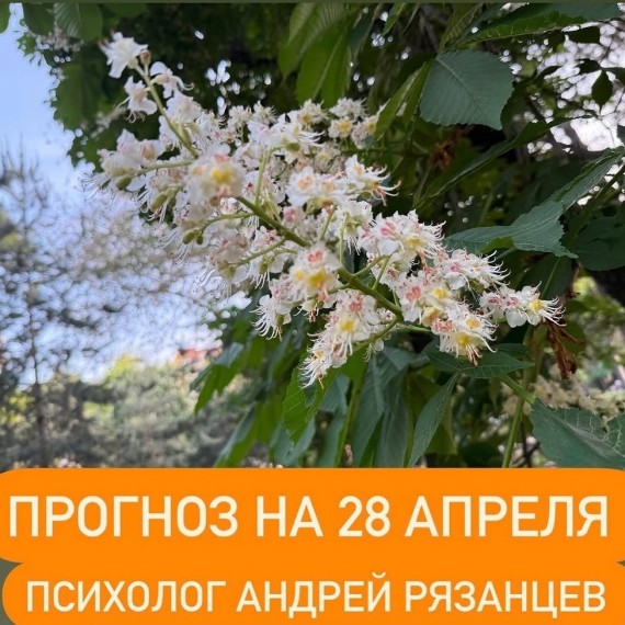 Гороскоп для всех знаков зодиака 28.04.2025