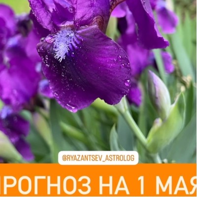 Гороскоп для всех знаков зодиака 01.05.2025