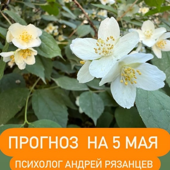 Гороскоп для всех знаков зодиака 05.05.2025