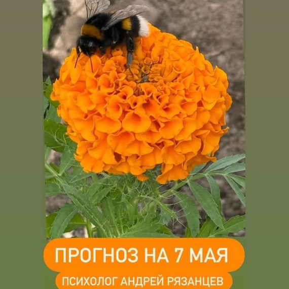 Гороскоп для всех знаков зодиака 07.05.2025