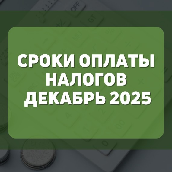 Сроки оплаты налогов декабрь 2025 года